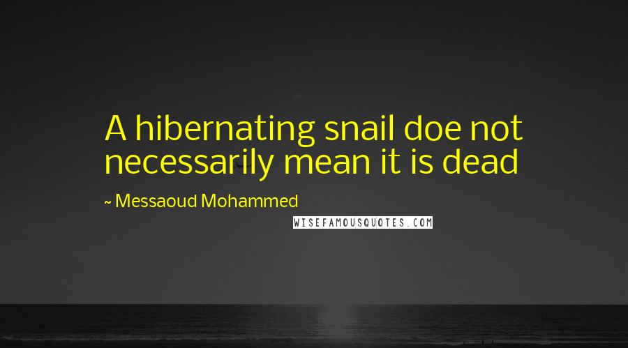 Messaoud Mohammed quotes: A hibernating snail doe not necessarily mean it is dead