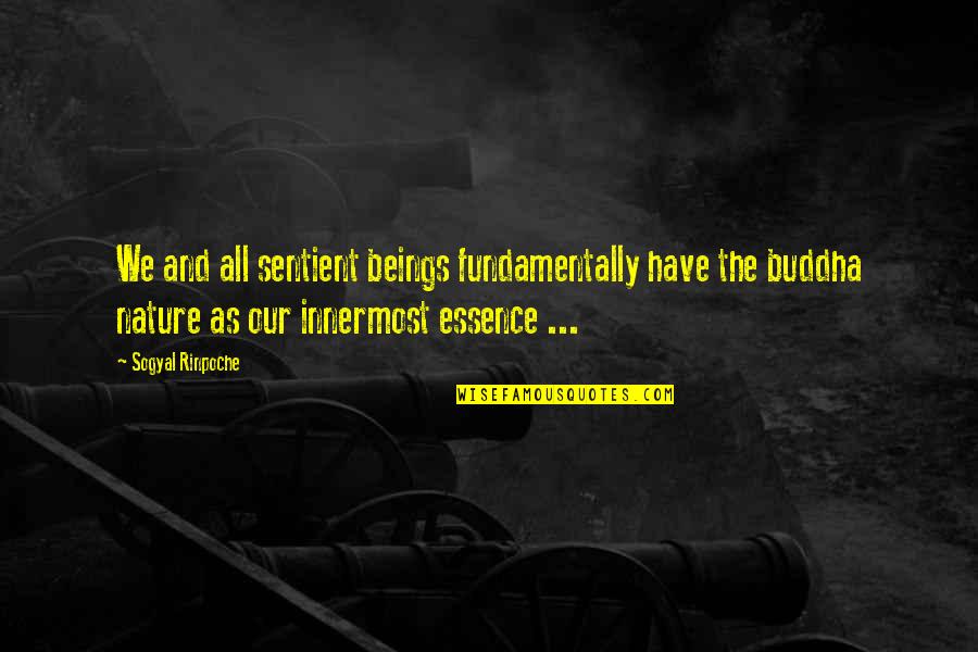 Messerschmitt Me 163 Quotes By Sogyal Rinpoche: We and all sentient beings fundamentally have the