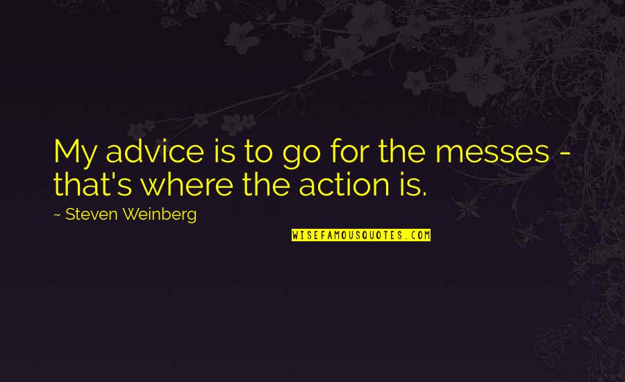 Messes Quotes By Steven Weinberg: My advice is to go for the messes