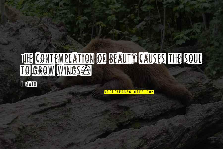 Messing Up With A Guy Quotes By Plato: The contemplation of beauty causes the soul to
