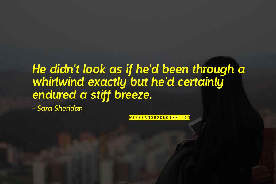 Messy Look Quotes By Sara Sheridan: He didn't look as if he'd been through