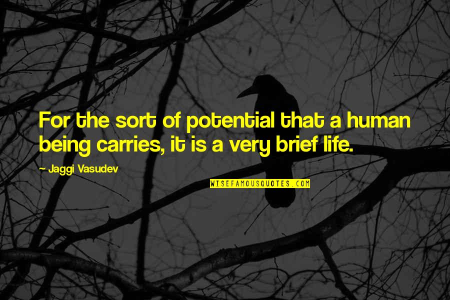 Mestres Do Sabor Quotes By Jaggi Vasudev: For the sort of potential that a human