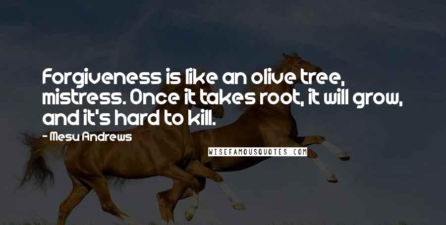 Mesu Andrews quotes: Forgiveness is like an olive tree, mistress. Once it takes root, it will grow, and it's hard to kill.