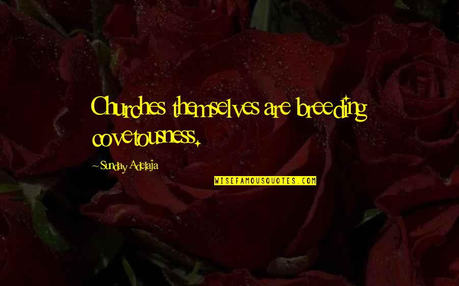 Mesurety Quotes By Sunday Adelaja: Churches themselves are breeding covetousness.