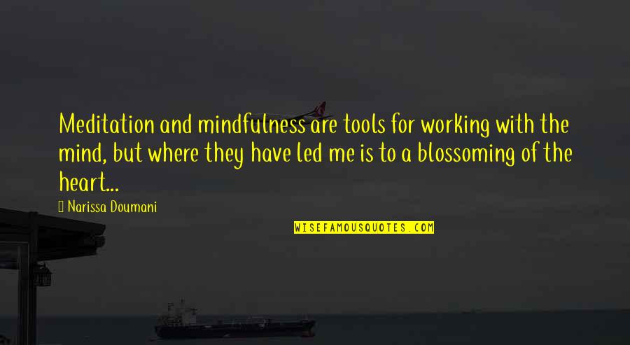 Met Quote Quotes By Narissa Doumani: Meditation and mindfulness are tools for working with