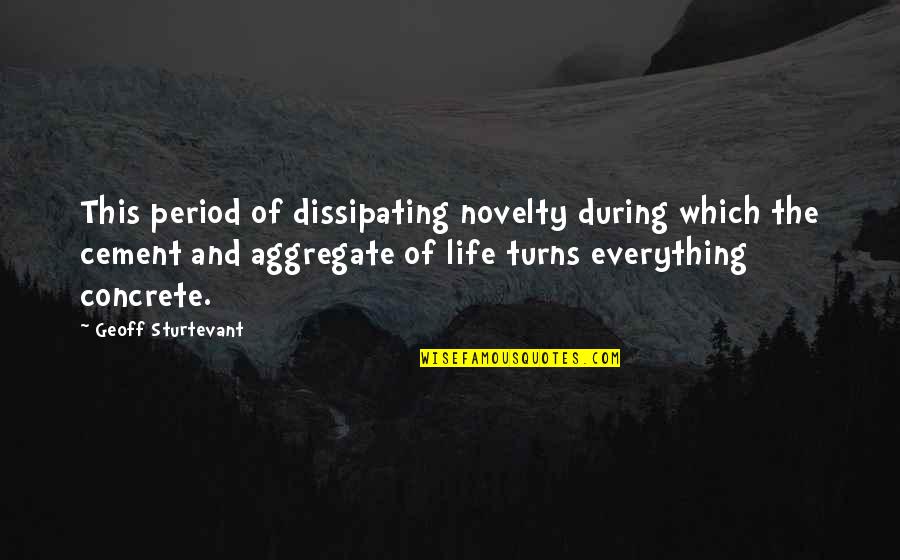 Metafizyka Definicja Quotes By Geoff Sturtevant: This period of dissipating novelty during which the