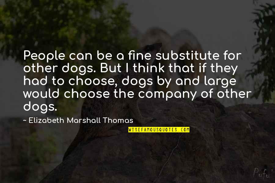 Metal Gear Quotes By Elizabeth Marshall Thomas: People can be a fine substitute for other Metal Gear Quotes By Elizabeth Marshall Thomas: People can be a fine substitute for other
