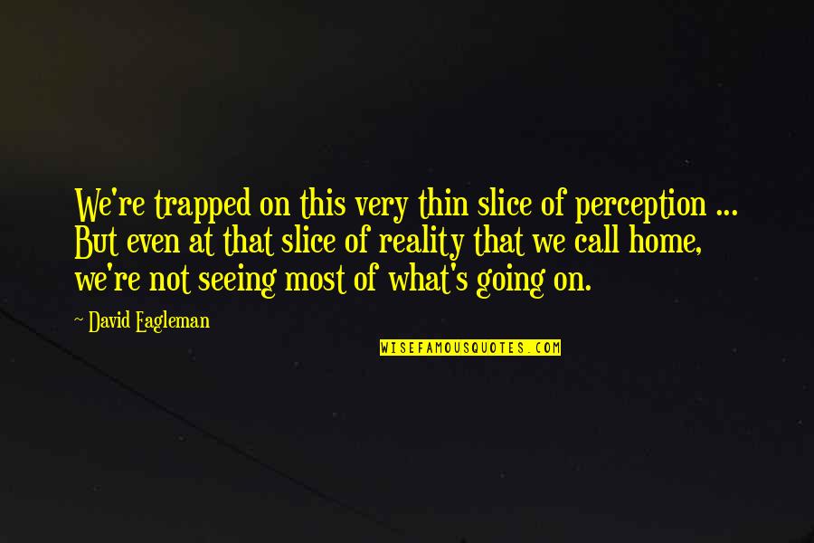 Metalloids Quotes By David Eagleman: We're trapped on this very thin slice of Metalloids Quotes By David Eagleman: We're trapped on this very thin slice of