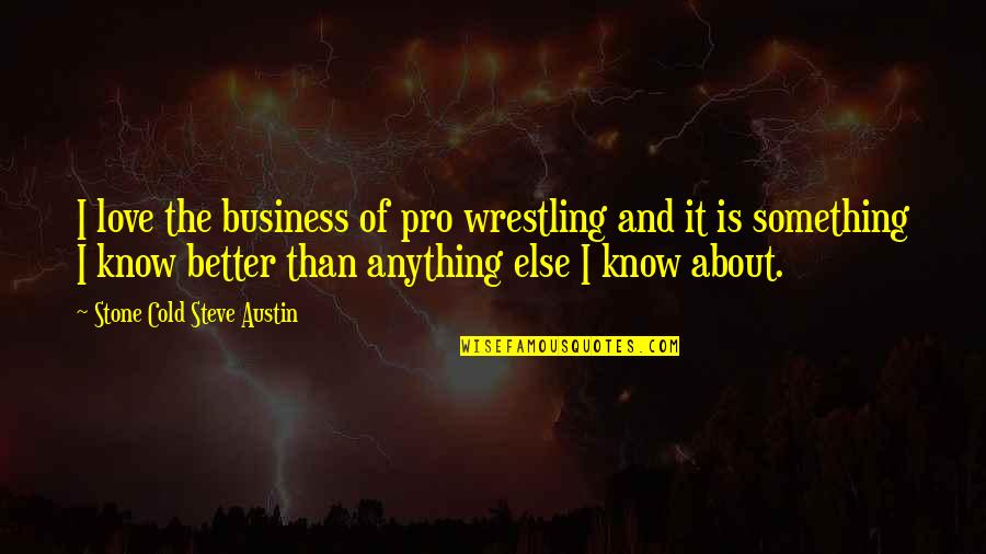 Metalworking Projects Quotes By Stone Cold Steve Austin: I love the business of pro wrestling and