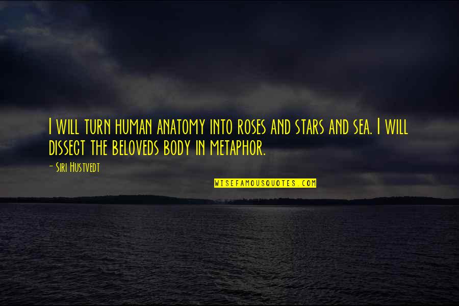 Metaphor Love Quotes By Siri Hustvedt: I will turn human anatomy into roses and Metaphor Love Quotes By Siri Hustvedt: I will turn human anatomy into roses and