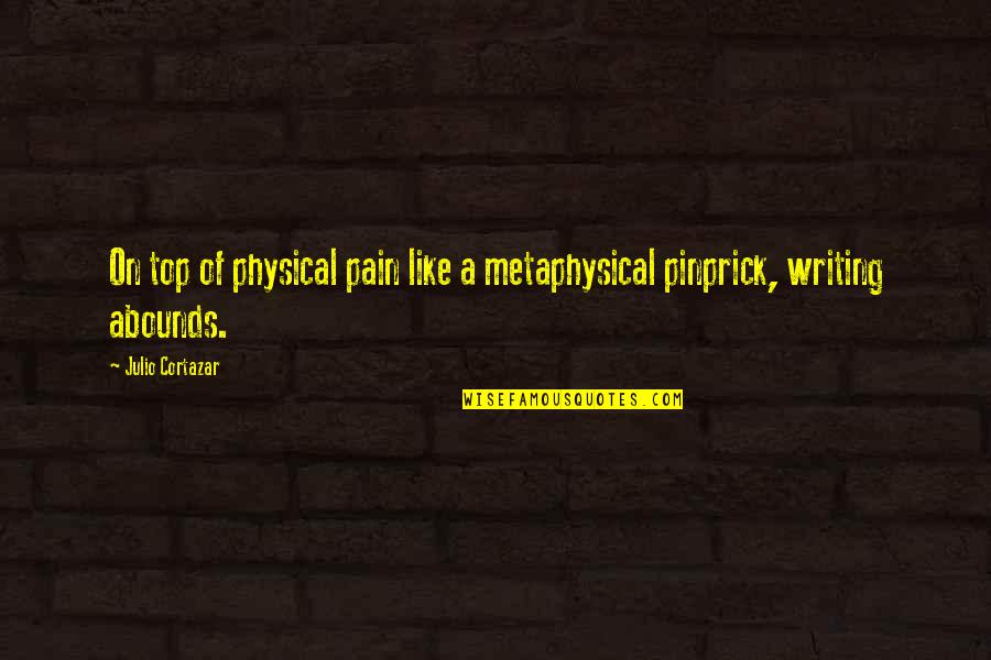 Metaphysical Quotes By Julio Cortazar: On top of physical pain like a metaphysical