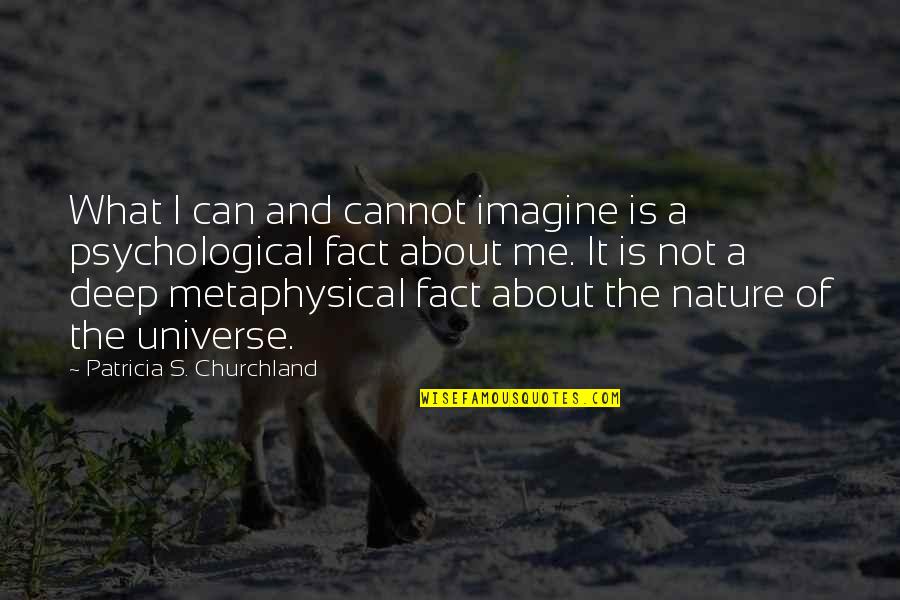 Metaphysical Quotes By Patricia S. Churchland: What I can and cannot imagine is a
