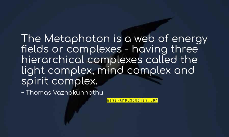 Metaphysical Quotes By Thomas Vazhakunnathu: The Metaphoton is a web of energy fields