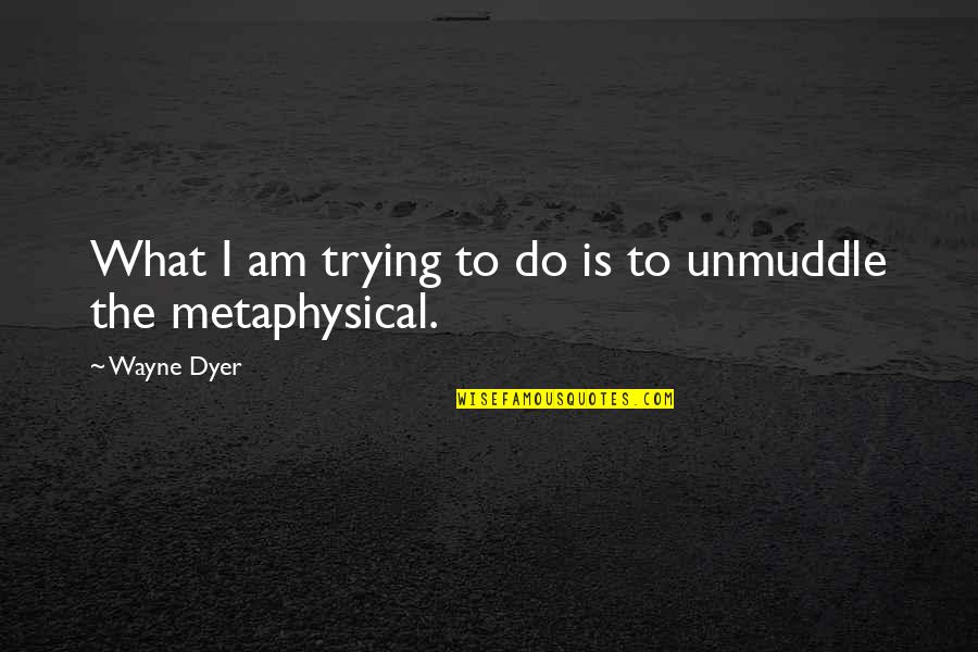 Metaphysical Quotes By Wayne Dyer: What I am trying to do is to