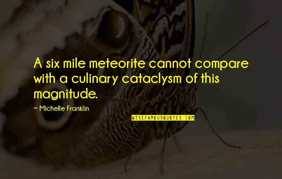 Meteorite Quotes By Michelle Franklin: A six mile meteorite cannot compare with a