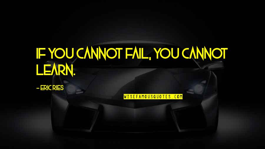 Meteors Quotes By Eric Ries: If you cannot fail, you cannot learn. Meteors Quotes By Eric Ries: If you cannot fail, you cannot learn.