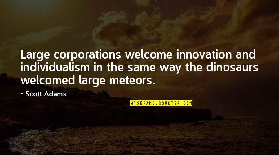 Meteors Quotes By Scott Adams: Large corporations welcome innovation and individualism in the
