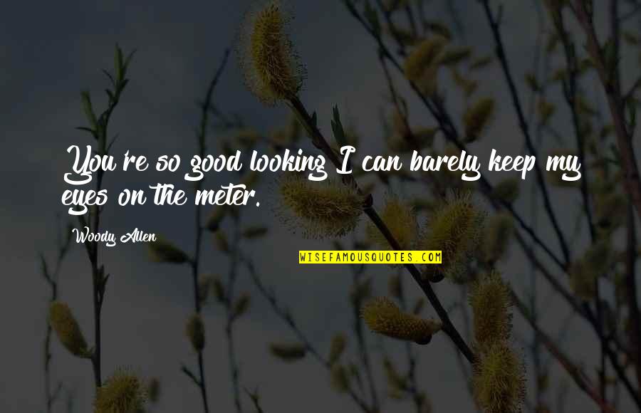 Meter Quotes By Woody Allen: You're so good looking I can barely keep