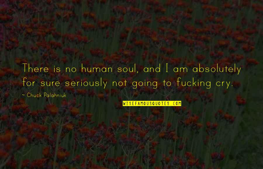 Metered Water Quotes By Chuck Palahniuk: There is no human soul, and I am