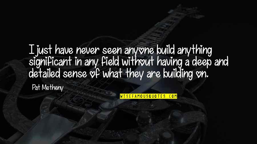 Metheny Quotes By Pat Metheny: I just have never seen anyone build anything