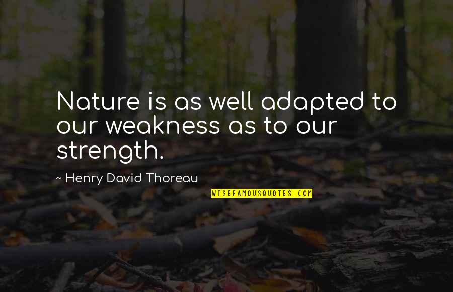 Methismena Quotes By Henry David Thoreau: Nature is as well adapted to our weakness
