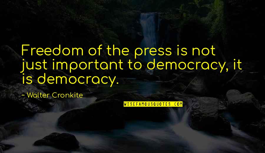 Methodologies Used In Research Quotes By Walter Cronkite: Freedom of the press is not just important