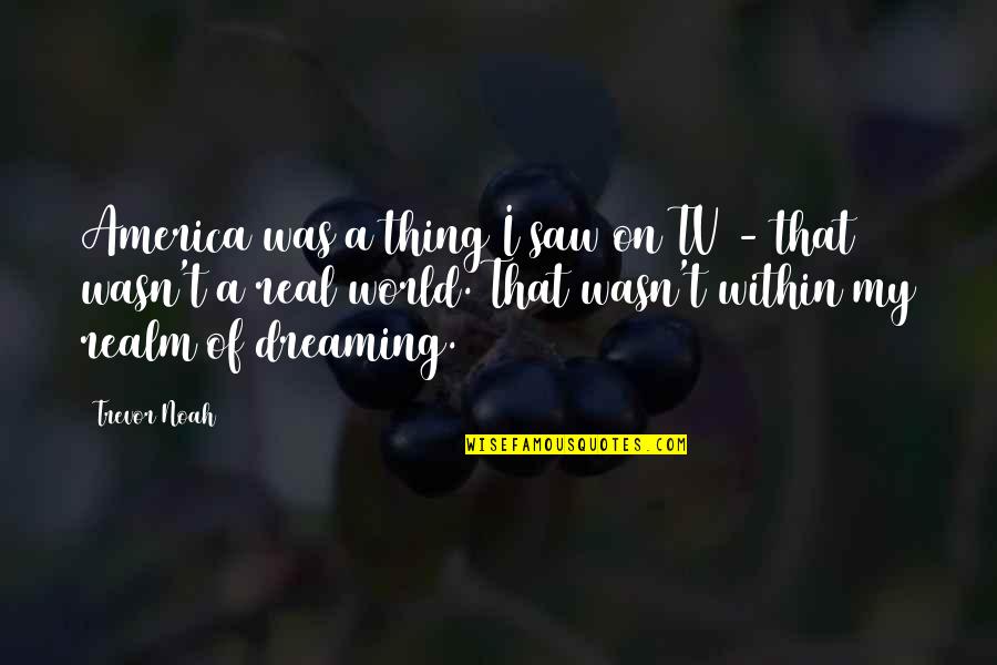 Metidas De Anel Quotes By Trevor Noah: America was a thing I saw on TV