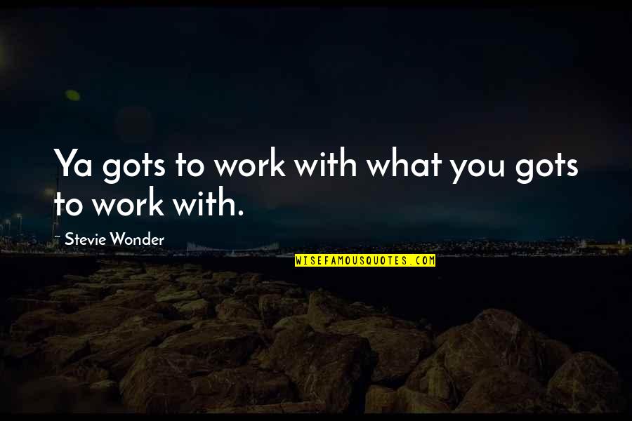 Metiste Un Quotes By Stevie Wonder: Ya gots to work with what you gots