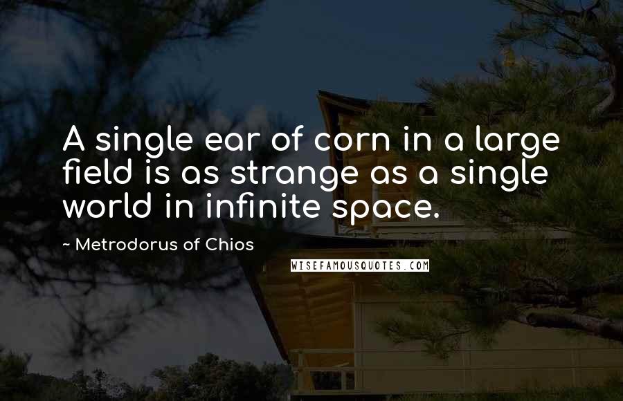 Metrodorus Of Chios quotes: A single ear of corn in a large field is as strange as a single world in infinite space.