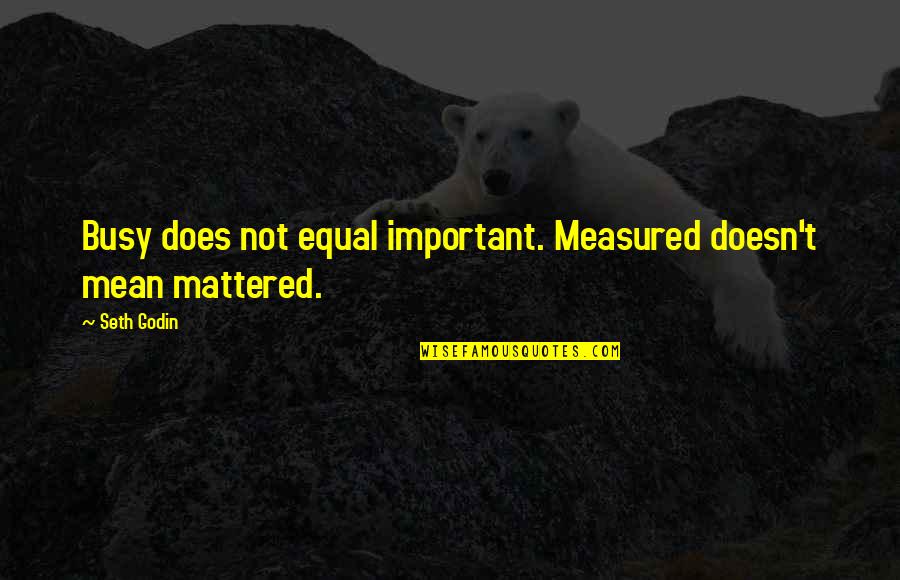 Metron Quotes By Seth Godin: Busy does not equal important. Measured doesn't mean