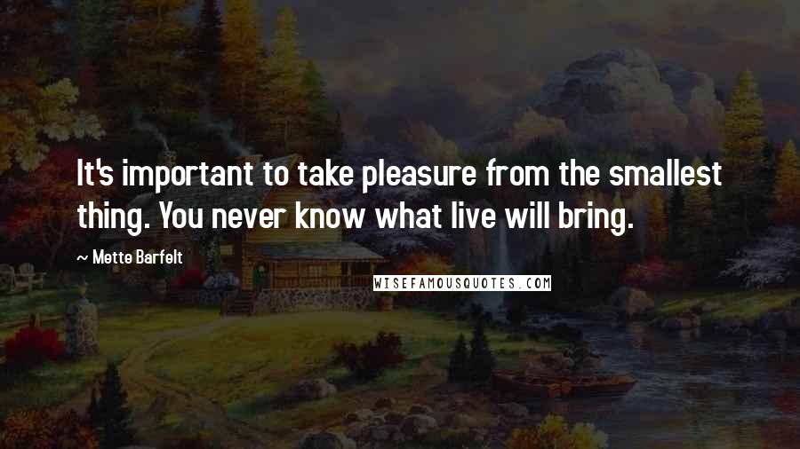 Mette Barfelt quotes: It's important to take pleasure from the smallest thing. You never know what live will bring.