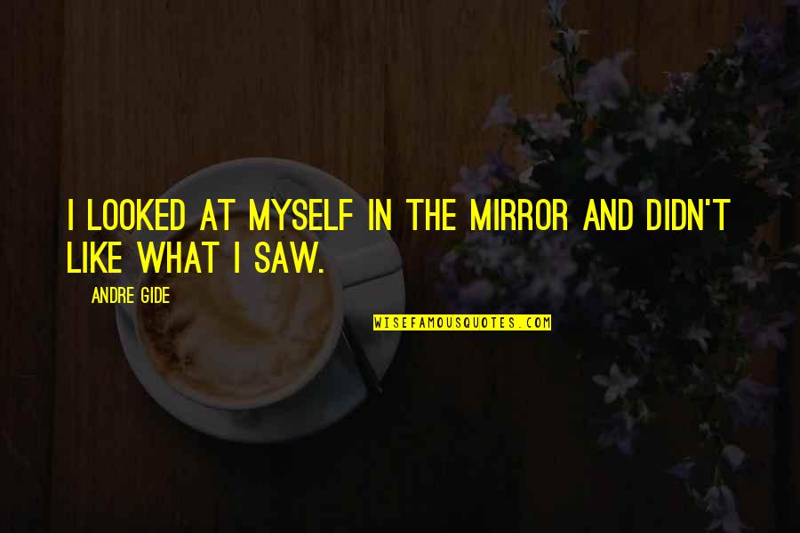Mettre Passe Quotes By Andre Gide: I looked at myself in the mirror and