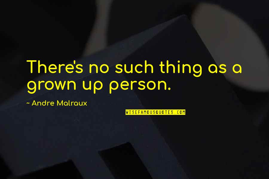 Meurkes Quotes By Andre Malraux: There's no such thing as a grown up