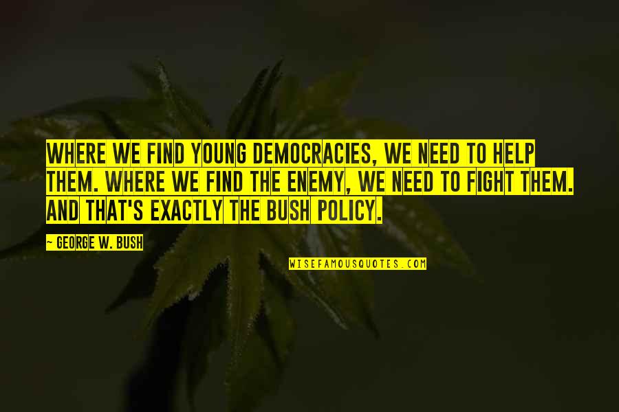 Meursault Blagny Quotes By George W. Bush: Where we find young democracies, we need to