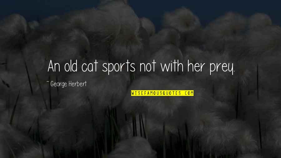 Meursault Investigation Quotes By George Herbert: An old cat sports not with her prey.