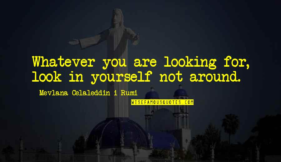 Mevlana Love Quotes By Mevlana Celaleddin-i Rumi: Whatever you are looking for, look in yourself