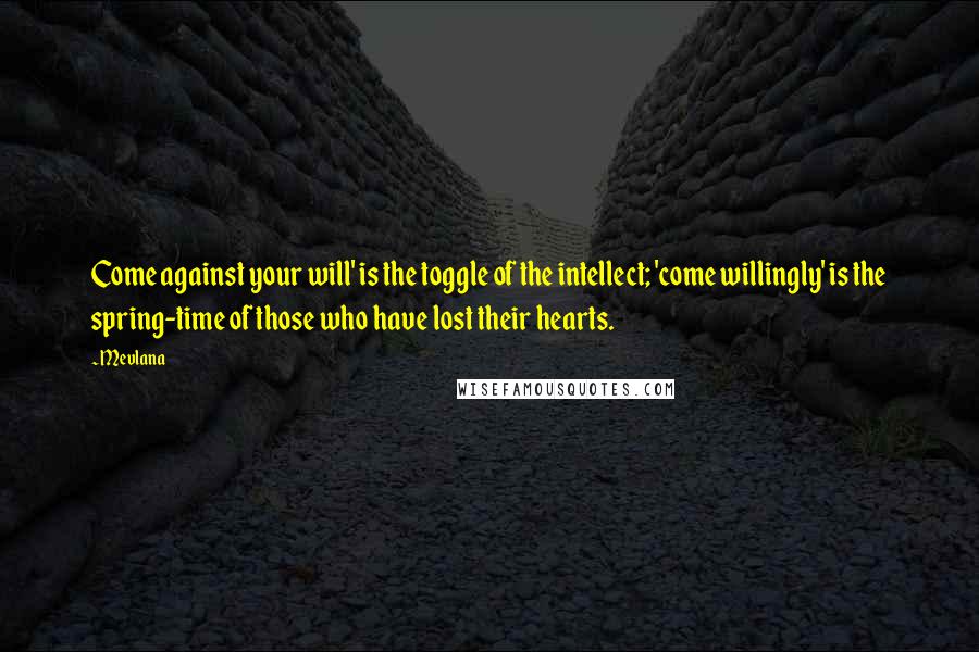 Mevlana quotes: Come against your will' is the toggle of the intellect; 'come willingly' is the spring-time of those who have lost their hearts.