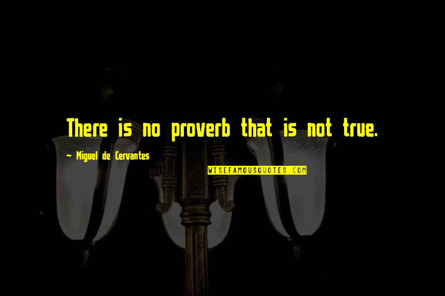 Mexican Repatriation Quotes By Miguel De Cervantes: There is no proverb that is not true.