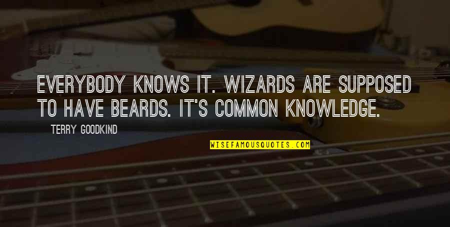 Mexican Traditional Quotes By Terry Goodkind: Everybody knows it. Wizards are supposed to have