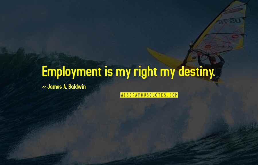 Mexico Song Quotes By James A. Baldwin: Employment is my right my destiny.