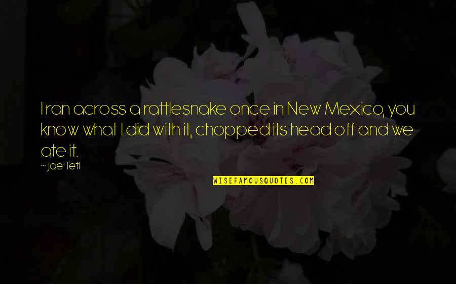Mexico's Quotes By Joe Teti: I ran across a rattlesnake once in New