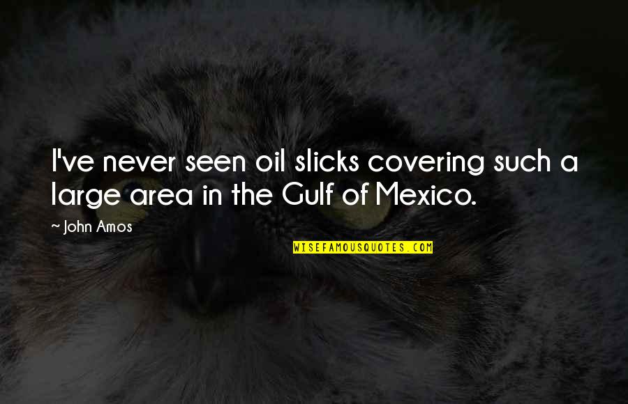 Mexico's Quotes By John Amos: I've never seen oil slicks covering such a