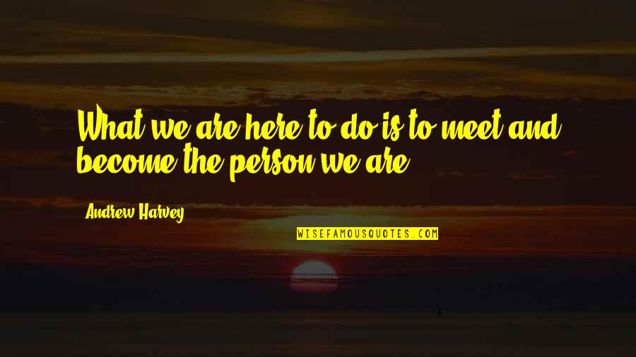 Meyenberg Powdered Quotes By Andrew Harvey: What we are here to do is to Meyenberg Powdered Quotes By Andrew Harvey: What we are here to do is to