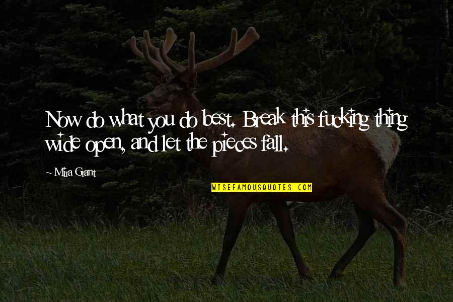 Meyerbeer Lafricaine Quotes By Mira Grant: Now do what you do best. Break this