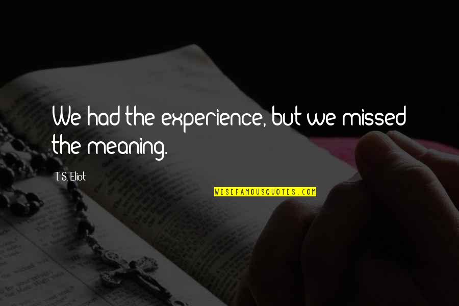 Meyhaneci Ebru Quotes By T. S. Eliot: We had the experience, but we missed the
