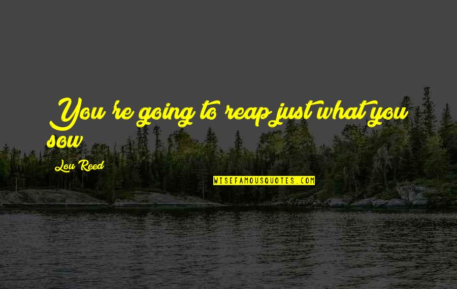 Meysam Aryafard Quotes By Lou Reed: You're going to reap just what you sow Meysam Aryafard Quotes By Lou Reed: You're going to reap just what you sow