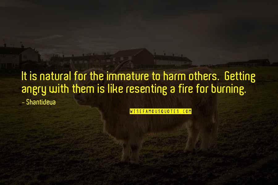 Meysam Aryafard Quotes By Shantideva: It is natural for the immature to harm Meysam Aryafard Quotes By Shantideva: It is natural for the immature to harm