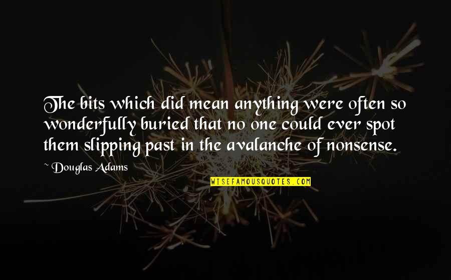 Mezarda Bitmez Quotes By Douglas Adams: The bits which did mean anything were often