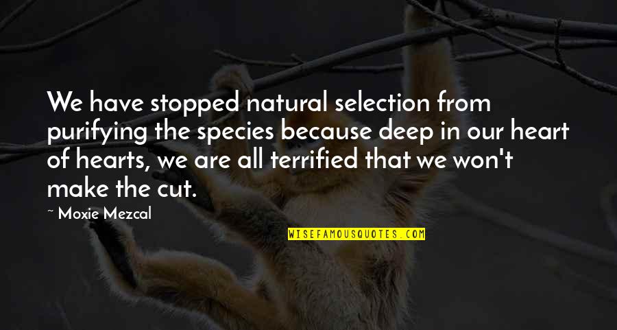 Mezcal Quotes By Moxie Mezcal: We have stopped natural selection from purifying the Mezcal Quotes By Moxie Mezcal: We have stopped natural selection from purifying the