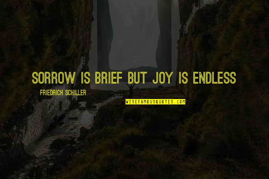 Mezquinaba Quotes By Friedrich Schiller: Sorrow is brief but joy is endless